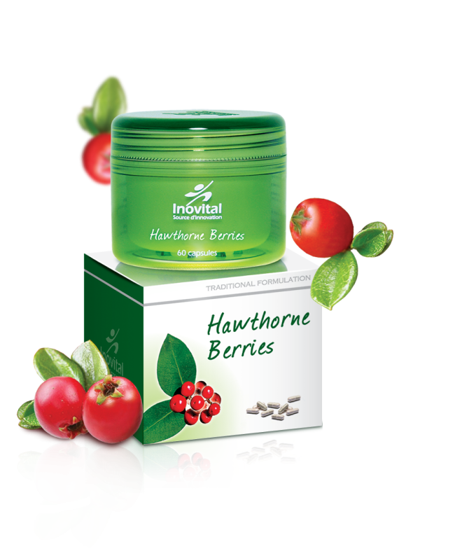 Hawthorne Berries