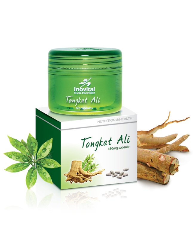 Tongkat Ali